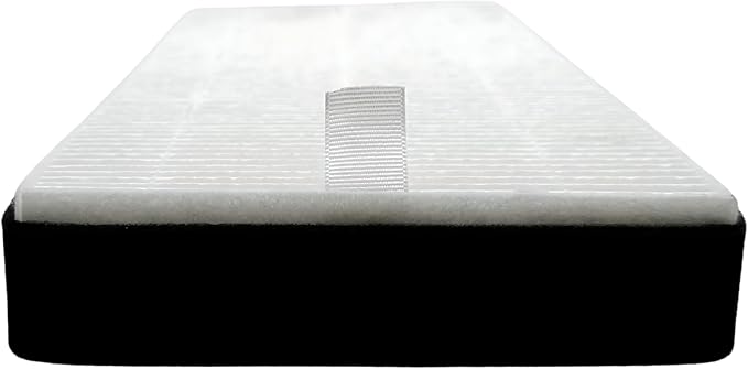 Nispira F1 C01 T02 HEPA Replacement Filter