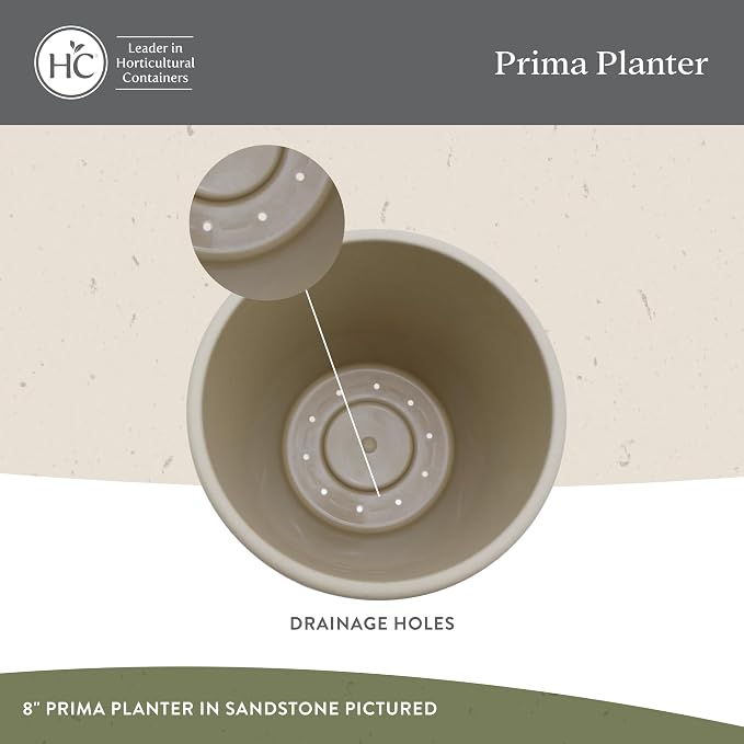 The HC Companies Prima Round Plastic Plant Pot w/Rolled Rim - Lightweight & UV Resistant Flower Pot for Herbs & More - Outdoor & Indoor Plant Pots w/Drainage (8 inch, Cappuccino, Pack of 1)