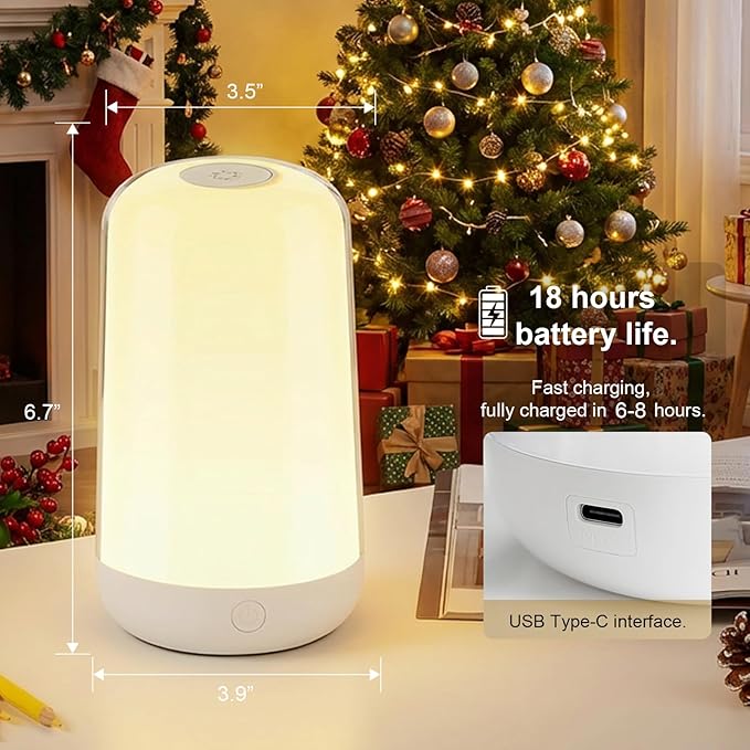 FRIDEKO HOME 2 Pack RGB Touch Bedside Lamp for Nightstand, 3 Color Temperatures Rechargeable Battery Night Light, Dimmable Mood Lighting for Bedroom Living Room Nursery, Breastfeeding, Kids, Adult