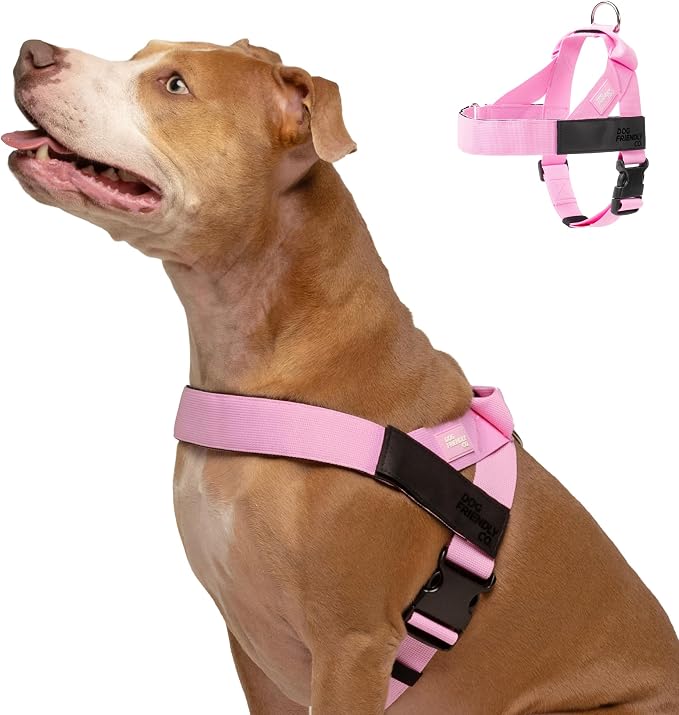 Dog Friendly Co. Dog Harness for Medium Sized Dogs (Pink, Medium) | One Click Buckle, Chafe Resistant Webbing, Adjustable Neck & Chest, and Heavy Duty D-Ring, Sturdy Comfortable and Easy to Use