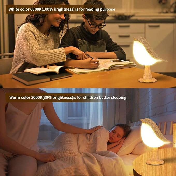 Bird Table Lamp with Remote & Touch Control | 3 Color Temperature & 3-Level Brightness Adjustable Night Light | Rechargeable Cordless Bedside Lamp for Bedroom Office Dorm | Timer & Bird Lover Gifts