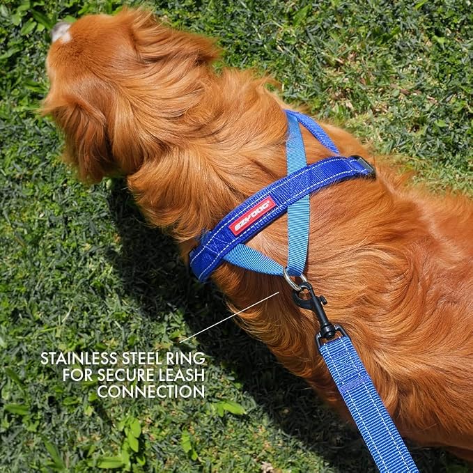 EzyDog Quick Fit Dog Harness, Soft Neoprene Padding - XX-Small, Black | Fast One-Click Buckle, Adjustable Fit, Strong Reinforced Materials, Reflective Stitching, No Pull Dog Harness, Easy Walking