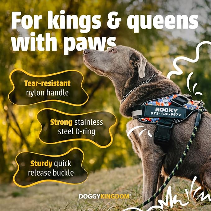 Personalized Dog Harness with Custom Name Patches, Adjustable Reflective No Choke Dog Vest with Handle for Large Dogs, Orange, L
