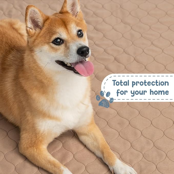 Washable Pee Pads for Dogs - Waterproof Reusable, 47 x 47 in | Durable lightweight training pads with rounded corners and laminated waterproof design for whelping and pet essentials