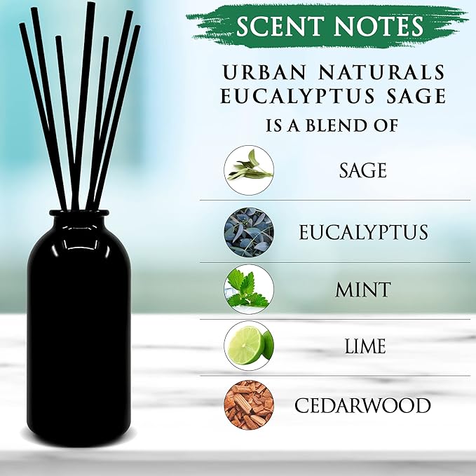Urban Naturals Eucalyptus Sage Reed Diffuser Oil Gift Set | Eucalyptus