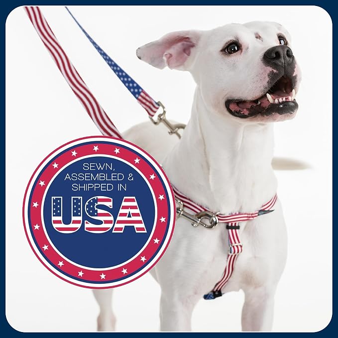 2 Hounds Design Freedom No Pull Dog Harness and Leash, 5/8" SM, Teal | Promotes Easy Walking & Comfortable Control, Secure Fit, Adjustable Harness and Leash Set for Small Sized Dogs, Made in USA