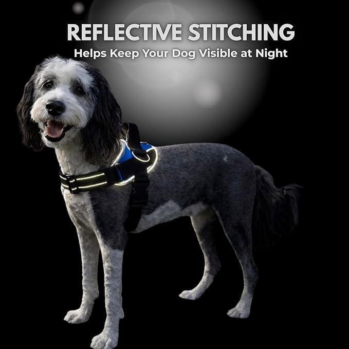 ShawnCo Essential Dog Harness, No-Pull Pet Vest (Electric Blue,L) | 3 Leash Clips, Easy On, No-Choke, Reflective, Adjustable Fit, Padded Comfort, Control Handle, For Small, Medium & Large Dogs
