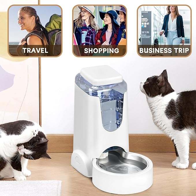 Automatic Cat Feeder and Water Dispenser