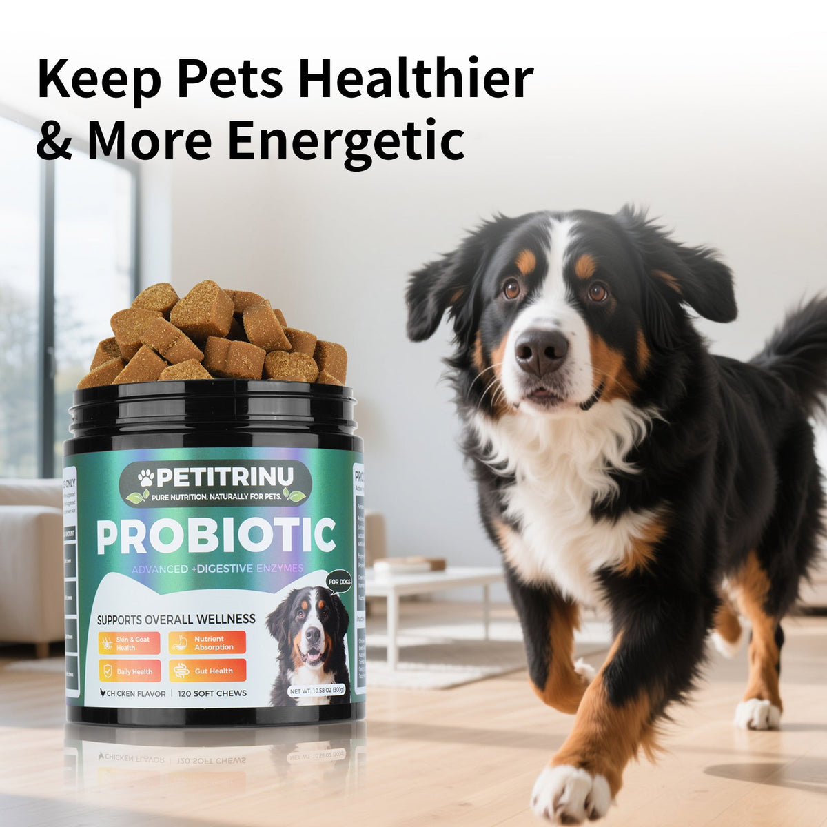 Comprehensive Dog Probiotic & Digestive Enzymes Supplement, 120 Soft Chews Chicken Flavor, Supports Skin & Coat, Nutrient Absorption & Gut Health