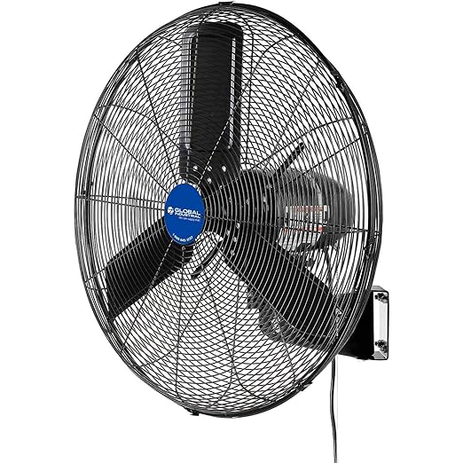 Global Industrial 24" Outdoor-Rated Oscillating Wall-Mount Fan, 2 Speeds