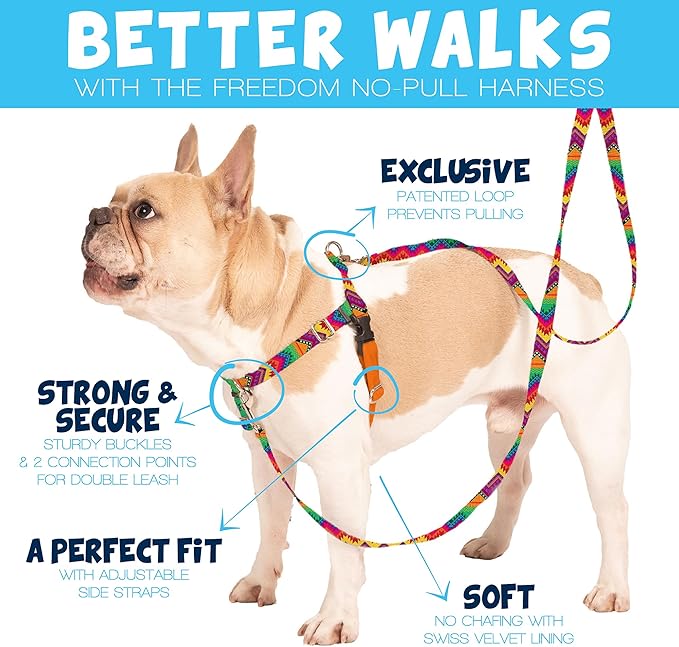 2 Hounds Design Freedom No Pull Dog Harness, Adjustable Harness, Easy Walking & Comfortable Control, Fits Small, Medium & Large Dogs, Solid Colors, Made in USA, 1" MD, Rose
