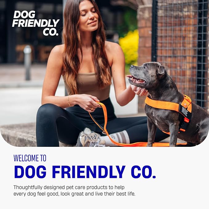 Dog Friendly Co. Dog Harness for Large Sized Dogs (Black, Extra Large) | One Click Buckle, Chafe Resistant Webbing, Adjustable Neck & Chest, and Heavy Duty D-Ring, Sturdy Comfortable and Easy to Use