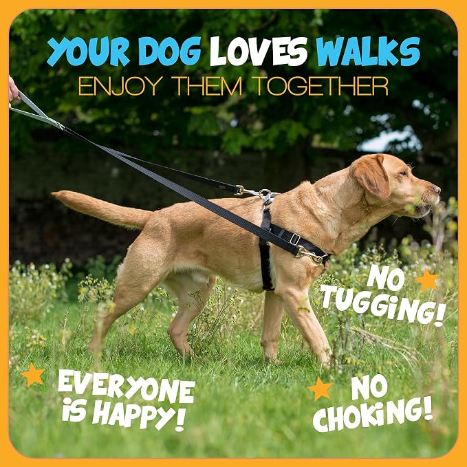 2 Hounds Design Freedom No Pull Dog Harness, 5/8 inch SM, Navy | Discourages Pulling, Comfortable Control Adjustable Dog Harness for Small Sized Dogs, Made in USA (Leash Not Included)