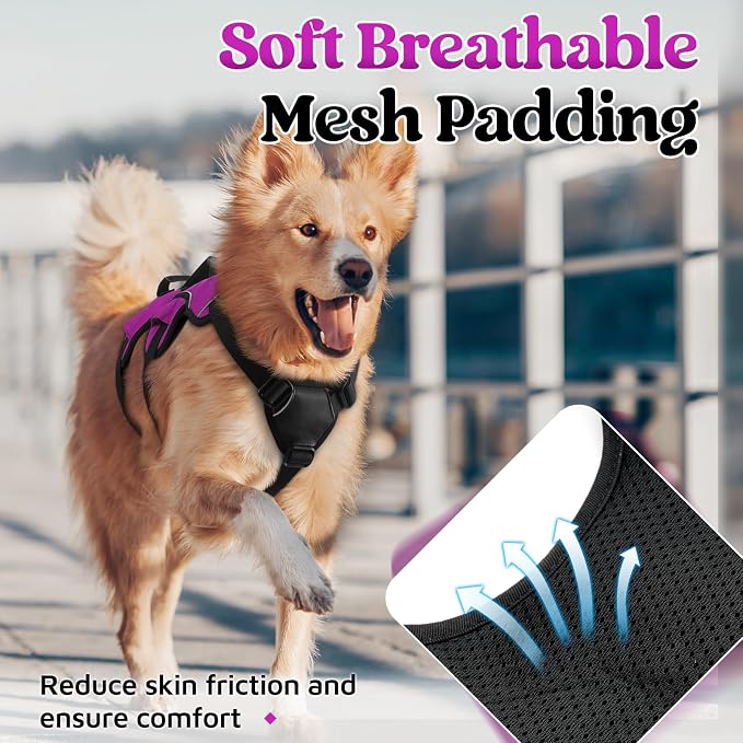 rabbitgoo Escape Proof Dog Harness for Medium, No Pull with Lift Handle | No Escape, Full Soft Padded, Reflective Adjustable Vest, Leash Clip for Walking Hiking Training, Purple, Medium