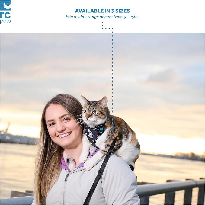 RC Pets Adventure Kitty Harness Includes Adjustable, Airmesh Fabric, 6' Leash and D-Ring Cat Walking Harness | Teal, Medium