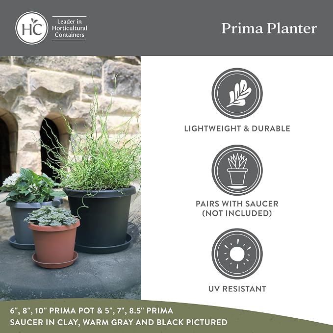 The HC Companies Prima Round Plastic Plant Pot w/Rolled Rim - Lightweight & UV Resistant Flower Pot for Herbs & More - Outdoor & Indoor Plant Pots w/Drainage (8 inch, Cappuccino, Pack of 1)