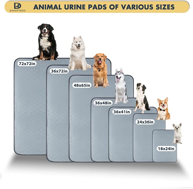 DAHAPYBOO Extra Large Washable Pee Pads for Dogs 65x48,6Pack | Reusable Puppy Pads for Dogs Non-Slip Waterproof Pet Training Pads for Crate, Playpen, Bed, Sofa,Whelping Box, Potty Training