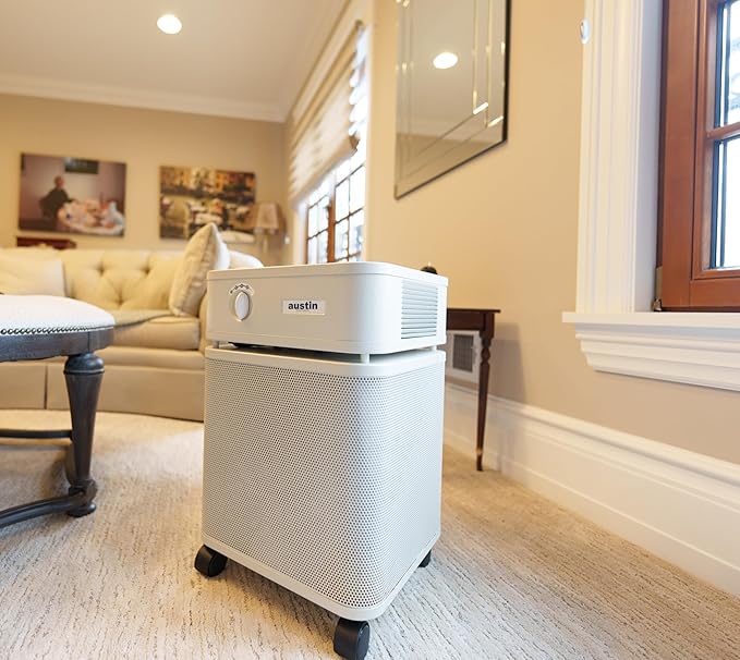Austin Air HealthMate Plus Air Purifier