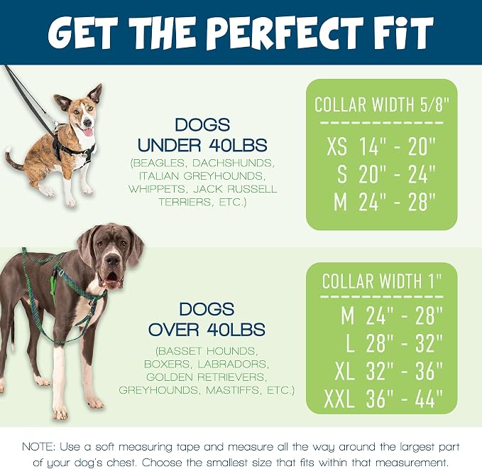 2 Hounds Design - Freedom No-Pull Harness & Training Leash in Pink and Purple | Dual Leash Loops, No Pulling on Walks | Lined to Prevent Chaffing | for Small Sized Dogs (Size S, Chest 20”- 24”)