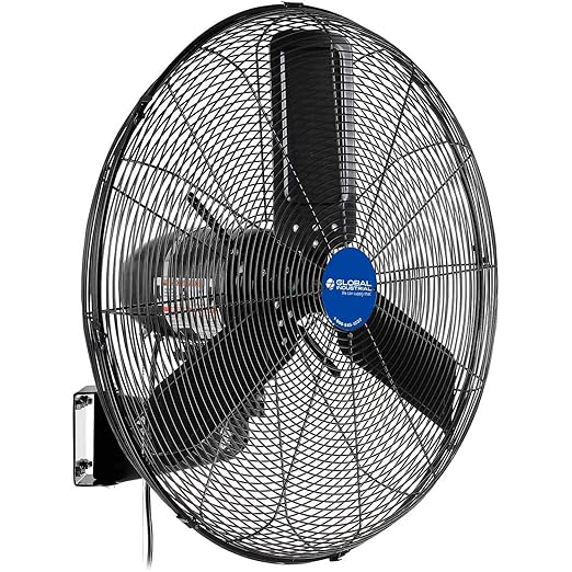 Global Industrial 24" Outdoor-Rated Oscillating Wall-Mount Fan, 2 Speeds