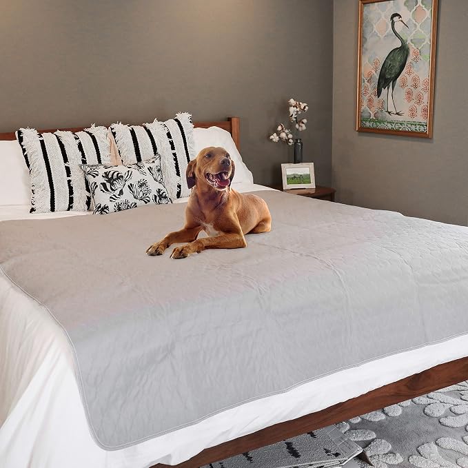 rocket & rex Premium XXL Non-Slip Washable Dog Playpen Mat (72"x72") | For whelping, potty training & travel. OEKO-TEX certified, chemical-free.