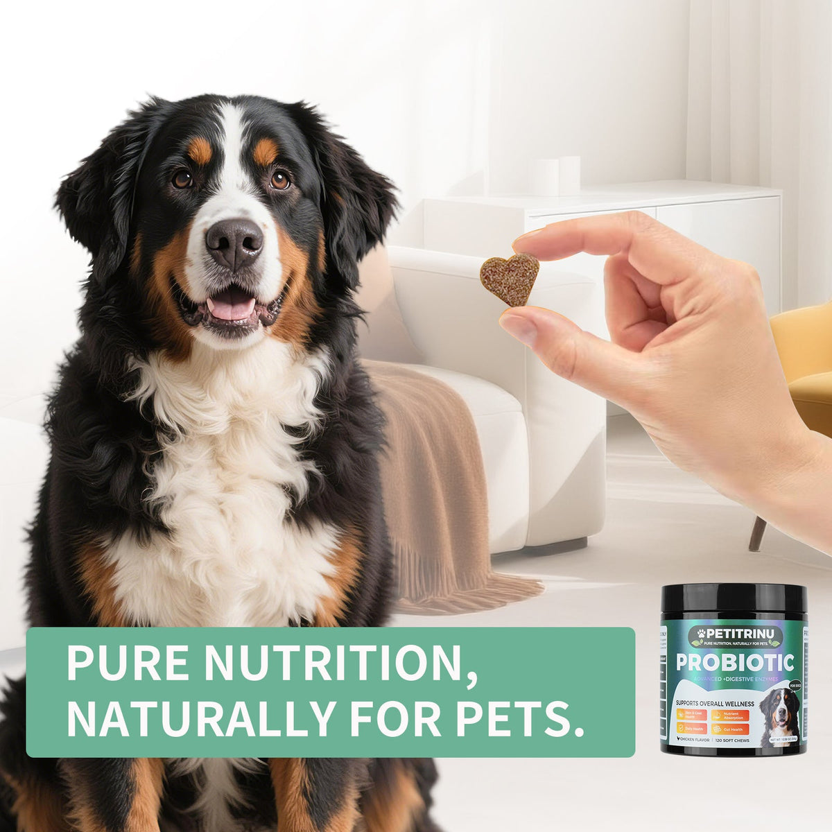 Comprehensive Dog Probiotic & Digestive Enzymes Supplement, 120 Soft Chews Chicken Flavor, Supports Skin & Coat, Nutrient Absorption & Gut Health