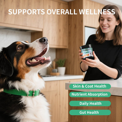 Comprehensive Dog Probiotic & Digestive Enzymes Supplement, 120 Soft Chews Chicken Flavor, Supports Skin & Coat, Nutrient Absorption & Gut Health
