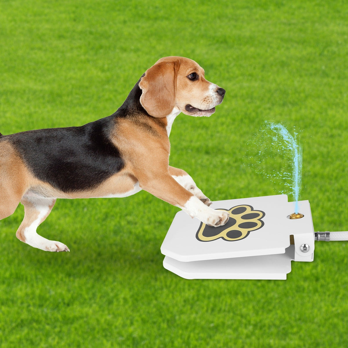 1Pc Dog Water Fountain Outdoor Dog Pet Water Dispenser Step-on Activated Sprinkler With Interactive Paw Pedal Valve For Drinking Water