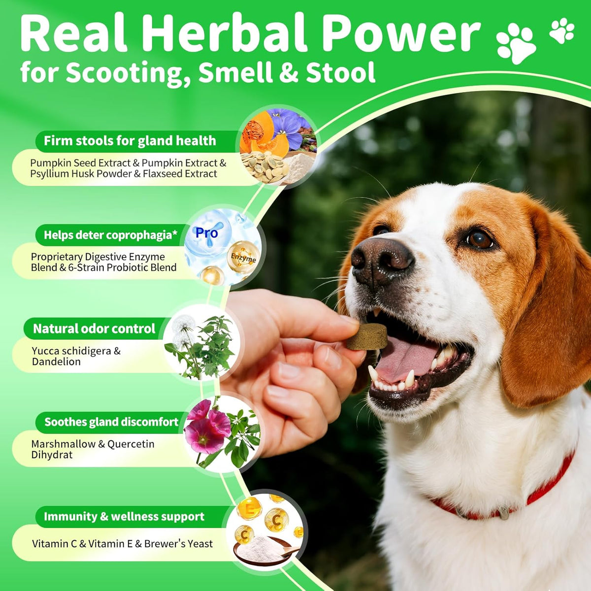 Dog Probiotics Digestive Enzymes,Pumpkin Fiber Chews For Gut Health, Constipation Upset Stomach Relief, Gas & Stool Support, Chicken Flavor Soft Chews ,90 Count
