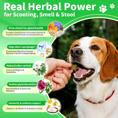 Dog Probiotics Digestive Enzymes,Pumpkin Fiber Chews For Gut Health, Constipation Upset Stomach Relief, Gas & Stool Support, Chicken Flavor Soft Chews ,90 Count