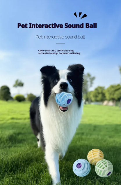 Pet Interactive Sound Ball,The Mellow Dog Cat Pet Voice Ball,Interactive Pet Squeaky Toys
