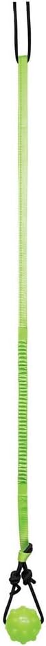 Jolly Pets Tree Tugger For Dog, Green