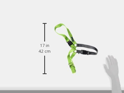 PetSafe Easy Walk Harness for Dogs - Pull-Free Walks - Patented Martingale Loop Design - Front Chest Leash Attachment - Comfort Straps - Breathable Harness Design - Large, Apple Green/Gray | Patented Martingale Loop Gives Gradual Shoulder Pressure to S...