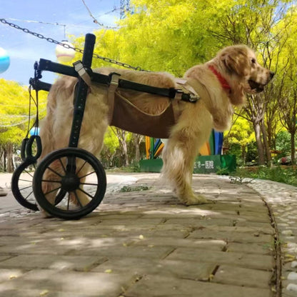 Rehabilitation Training Dog Wheelchair Mobility Aid