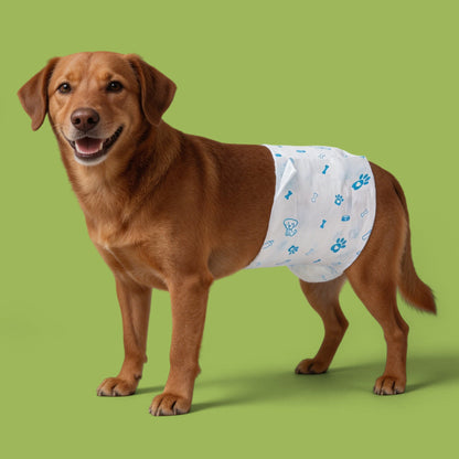 Disposable Male Dog Wraps