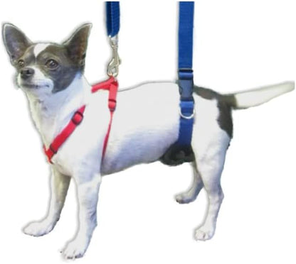 Dog Back Support IVDD Sling Harness, X-Small & Dachshunds | Fits Pets Under 25 lbs and Doxies, Walking Aid for K9s with Disc Disease, Fully Adjustable, Chest Harness NOT Included