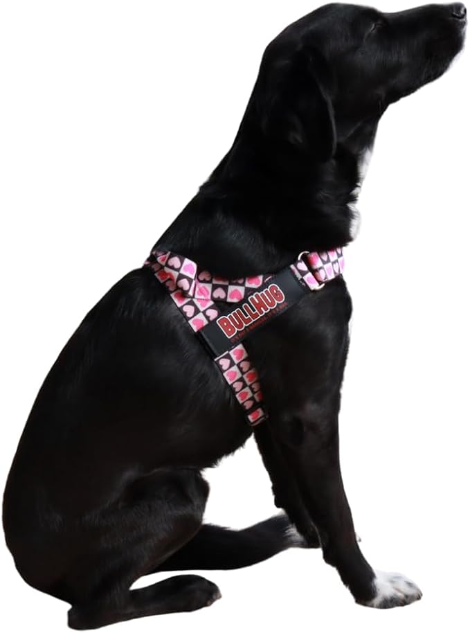 Adjustable Dog Harness– No Pull, No Choke – for English Bulldogs, French Bulldogs, Pugs & Broad-Chested Breeds – Easy, Safe Walks (Check, Large)