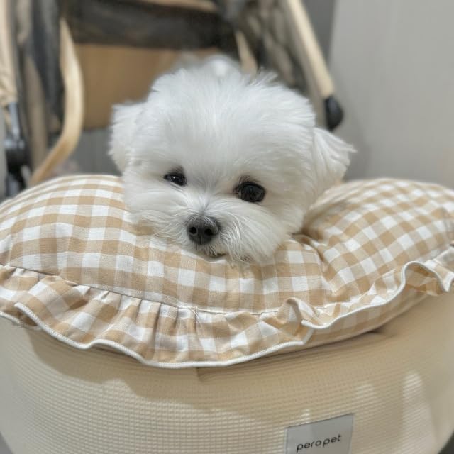 MOM N POP Organic Dog Pillow Bed, Calming Dog Head & Neck Pillow for Small, Medium Dog & Puppy, Handmade Organic Cotton Pet Cushion Bed, Washable Gingham Check Cushion – Beige/Blue (Red)