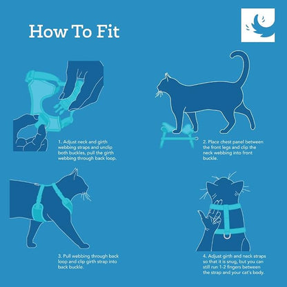 RC Pets Adventure Kitty Cat Harness | Adjustable Airmesh Vest with D-Ring and 6ft Leash for Walking and Travel | Lil Heart, Large