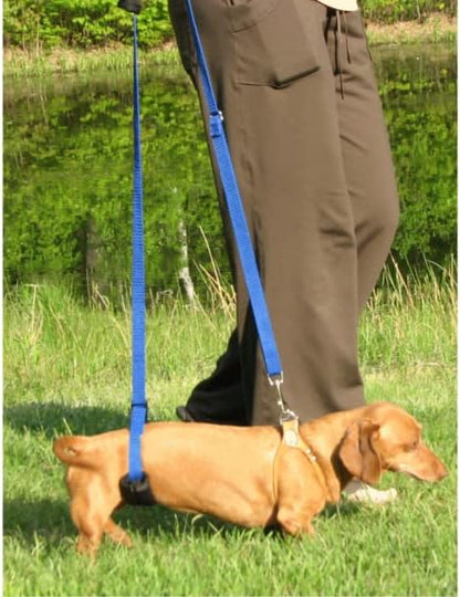 Dog Back Support IVDD Sling Harness, X-Small & Dachshunds | Fits Pets Under 25 lbs and Doxies, Walking Aid for K9s with Disc Disease, Fully Adjustable, Chest Harness NOT Included