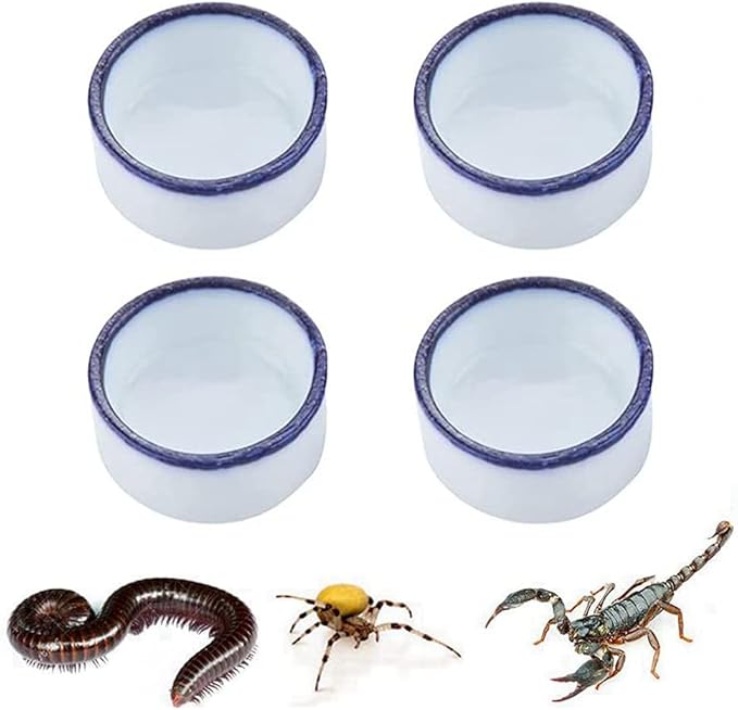 Tarantula Micro Water Bowl Spider Anti-Turnover Bowl for Small Hamster Tarantula Spider Scorpion Cricket Snail Manti Millipede Tiny Bugs Reptile Terrarium Cage Accessories (L (1.57??dia),4 Pcs)