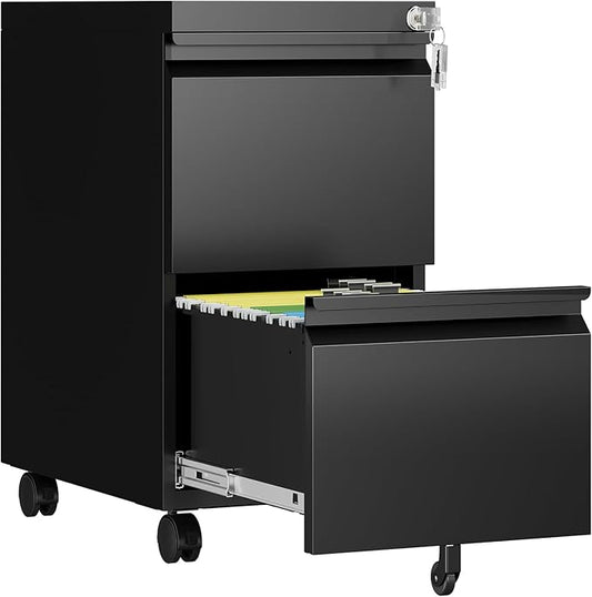 2 Drawer File Cabinet with Lock, Rolling File Cabinets