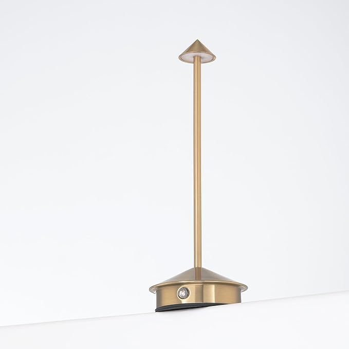 Arrrow LED Cordless USB-C Re-Chargeable Desk Lamp, 5200mAh Battery Operated with 3 Color Temperature 2700K-3000K-3500K and Fingertip Touch On/Off Plus Dimming in Satin Brass