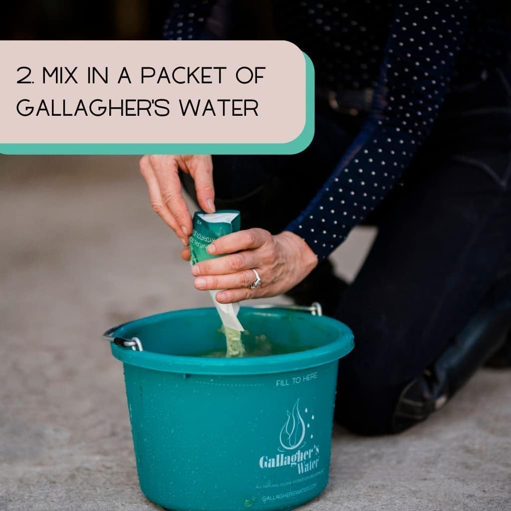 Gallagher's Water 12 Pack All-Natural Equine Hydration Treat - Enhancement Powder Mix Horse Drink Treat to Help Encourage to Drink Water - Made with All Natural Ingredients, FEI Compliant