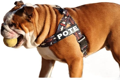 Adjustable Dog Harness– No Pull, No Choke – for English Bulldogs, French Bulldogs, Pugs & Broad-Chested Breeds – Easy, Safe Walks (Shark, Large)