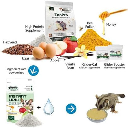 Brisbane Cage & Starter Package for Sugar Gliders - Includes Durable Cage, Healthy Food Variety, Exercise Wheel, Food Dishes, Water Bottle & Nest Pouch