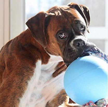 Jolly Pets Romp-n-Roll Rope and Ball Dog Toy, 8 Inches/Large, Blueberry, All Breed Sizes