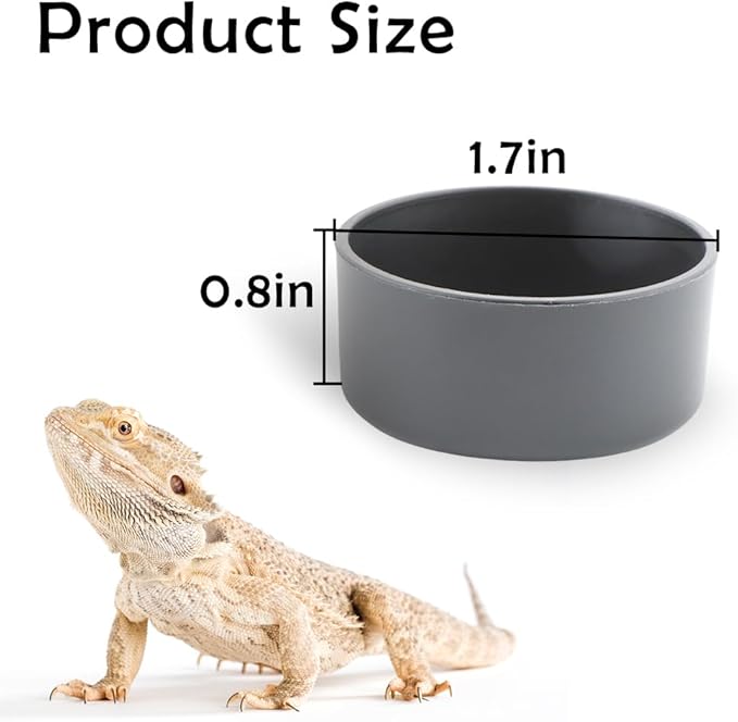 10 Pcs Small Reptile Water Bowl Food Dish Feeding Bowl for Spider Gecko Lizard Horned Frog Turtle Snake (Black)