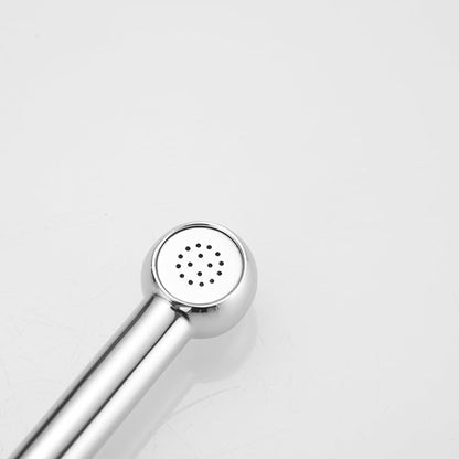 Chrome Handheld Bidet Sprayer for Toilet