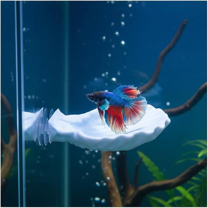 Betta Fish Hammock, Shell Pad with Strong Suction Cup Natural Resting Bed for Bettas Soft Fin-Safe Silicone Betta Fish Tank Decor and Accessories (Blue Large)